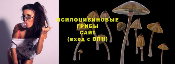 стафф Алексеевка