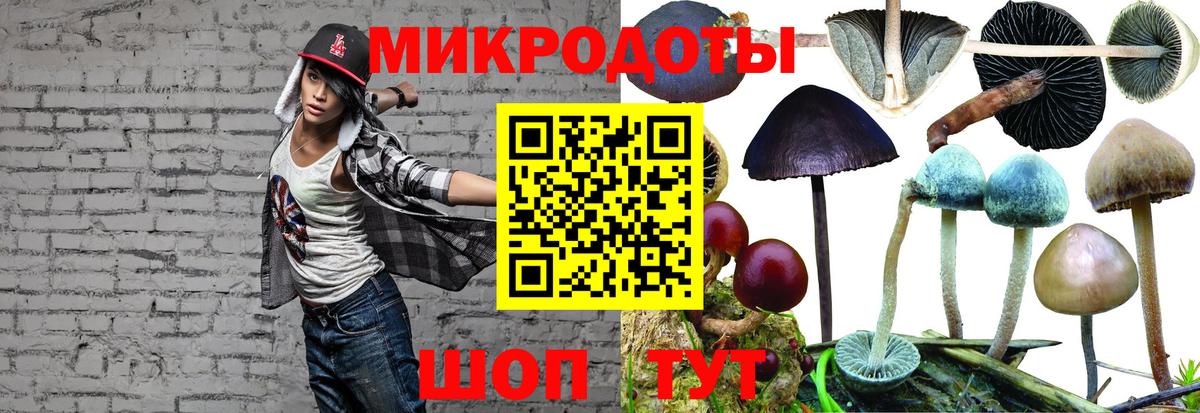 Галлюциногенные грибы мицелий Мегион